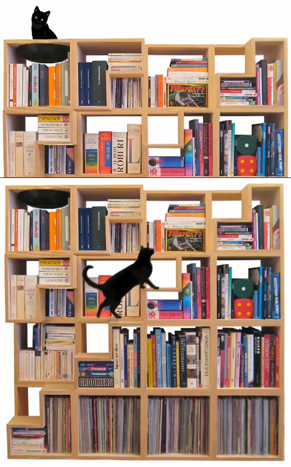 Modularna polica za knjige i mačke